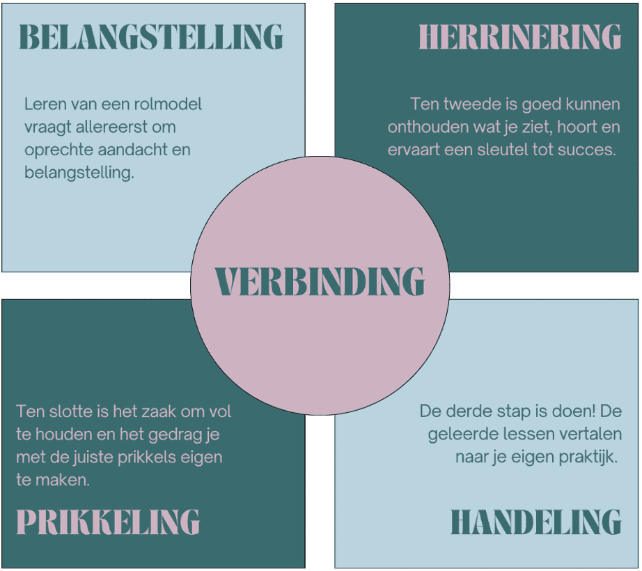 Vijf elementen Role Model Learning